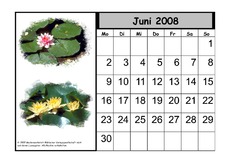 Kalender-2008-06.pdf